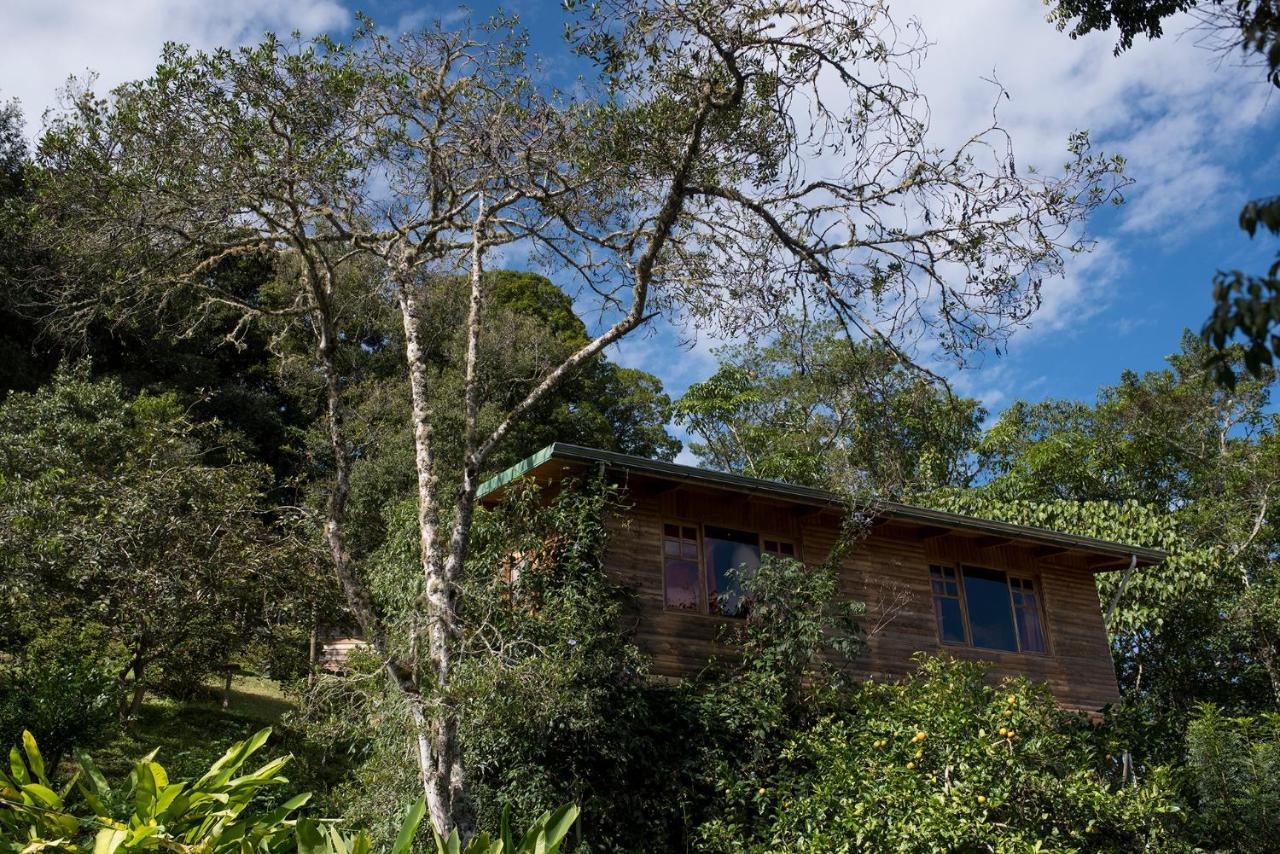 Cedrela Eco-Lodge & Restaurante Copey Esterno foto