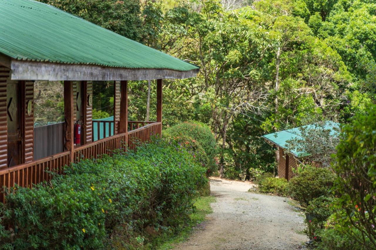 Cedrela Eco-Lodge & Restaurante Copey Esterno foto