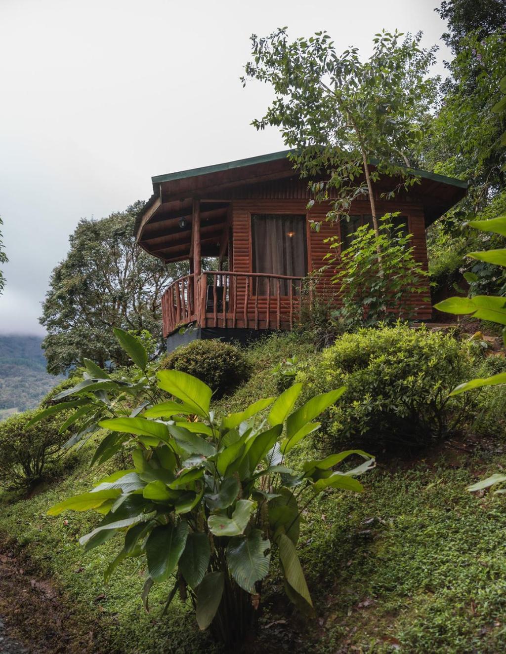 Cedrela Eco-Lodge & Restaurante Copey Esterno foto