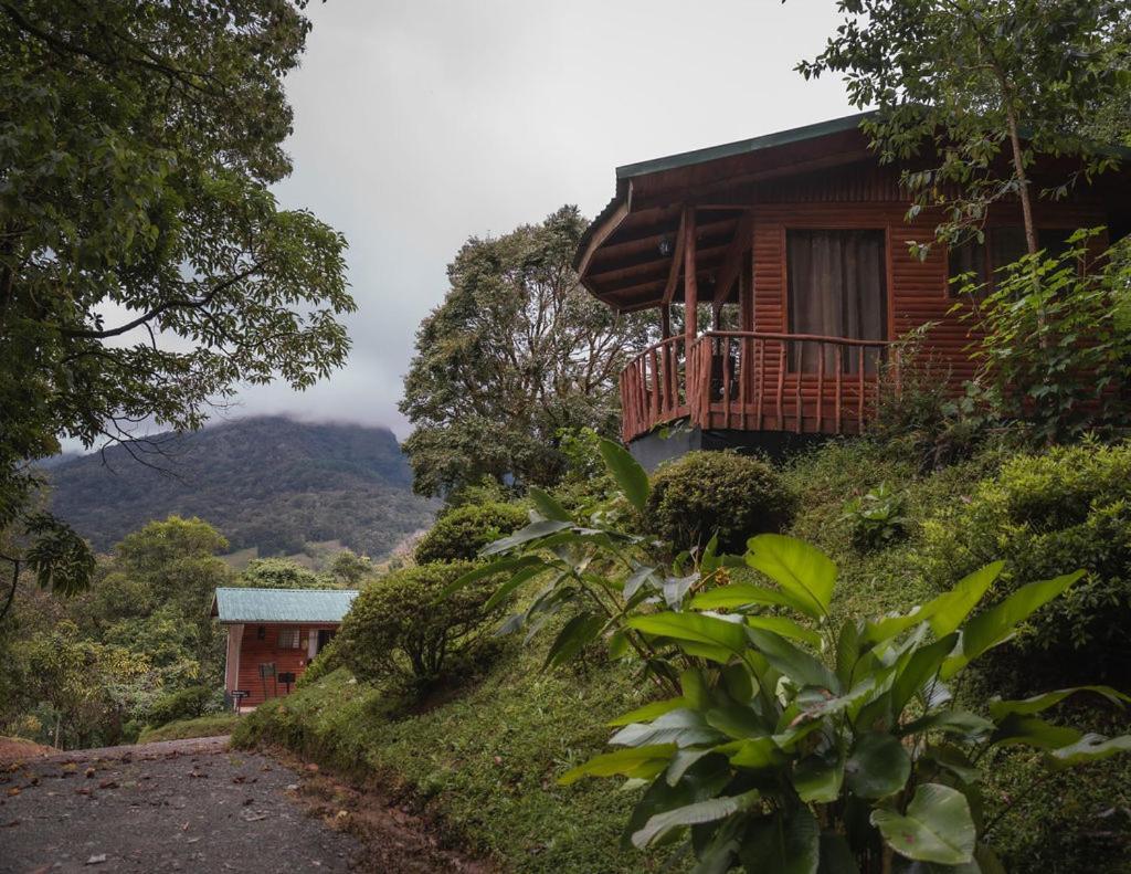 Cedrela Eco-Lodge & Restaurante Copey Esterno foto