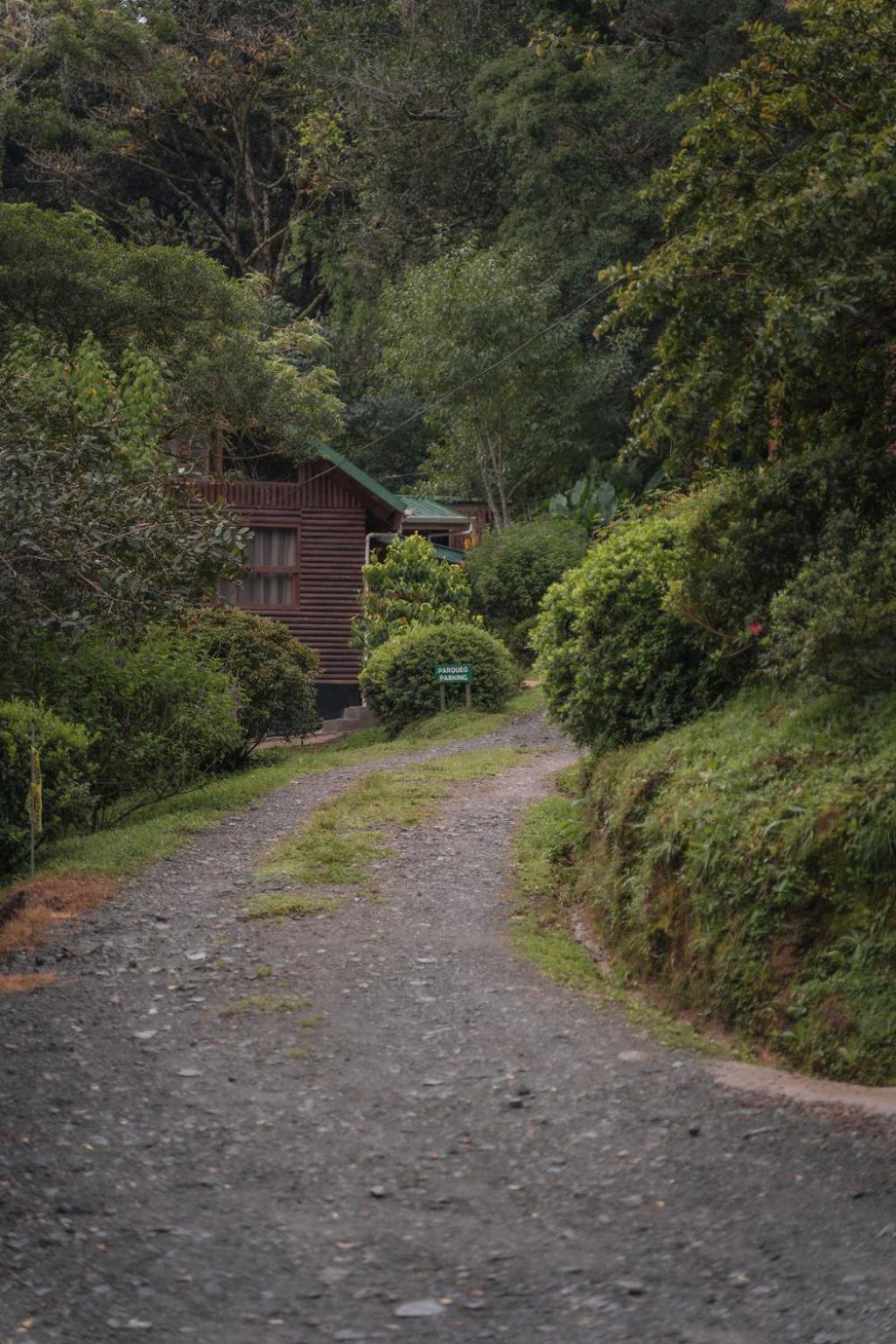 Cedrela Eco-Lodge & Restaurante Copey Esterno foto