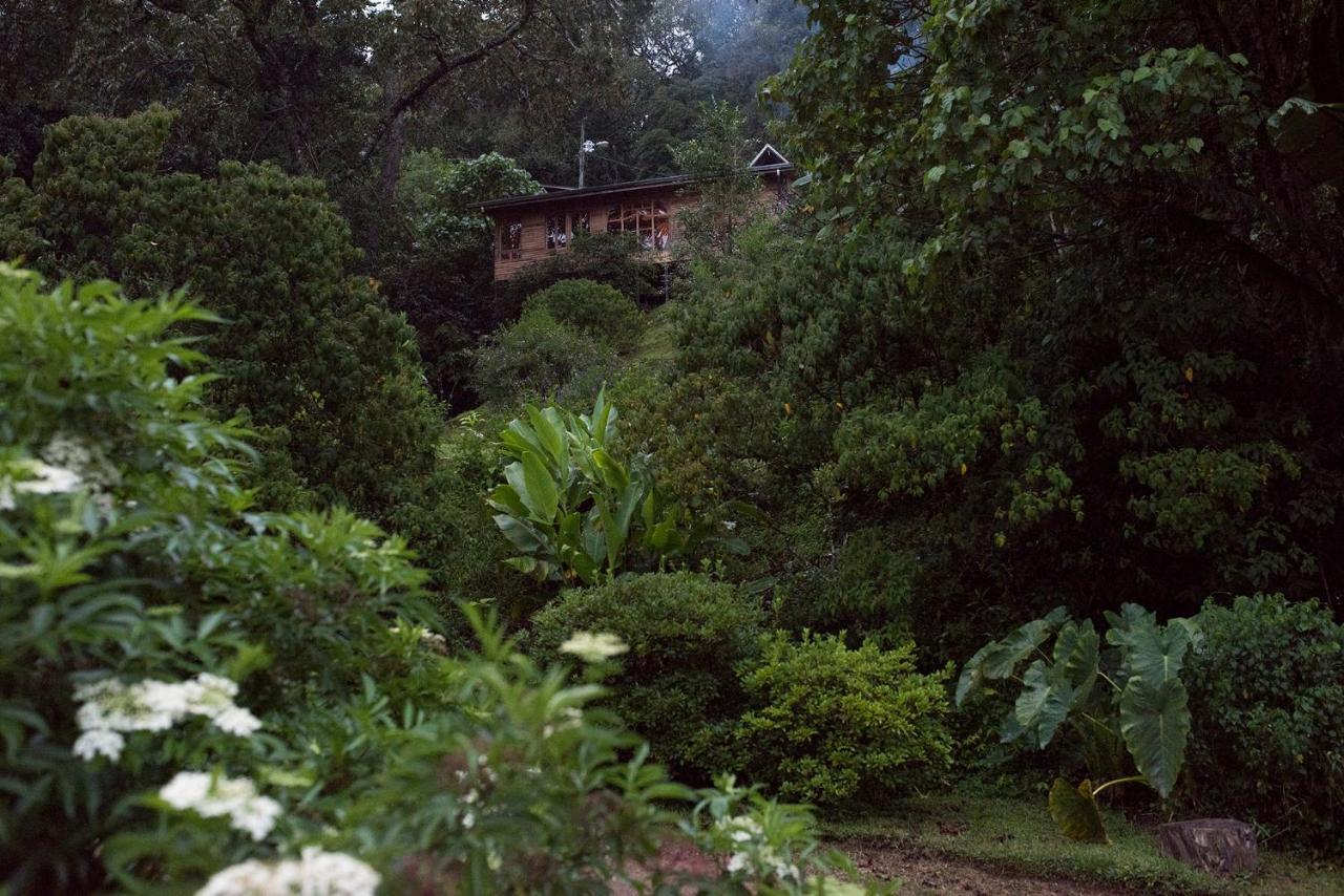 Cedrela Eco-Lodge & Restaurante Copey Esterno foto